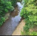 117 Willowbrook Dr - Photo 1