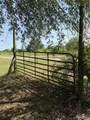 0 Clement Rd - Photo 41