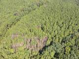 Lot 8 Cedar Ridge Rd - Photo 5