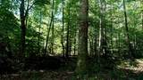 3 Ables Rd - Photo 1