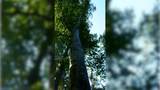 3 Ables Rd - Photo 11