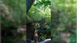3 Ables Rd - Photo 12