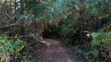 3 Ables Rd - Photo 5