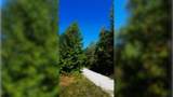 3 Ables Rd - Photo 7