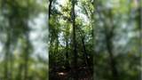 3 Ables Rd - Photo 8