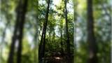 3 Ables Rd - Photo 10