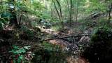 2 Ables Rd - Photo 6