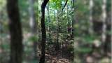 1 Ables Rd - Photo 8