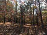13 Co Rd 218 - Photo 2