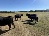5258 Co Rd 1635 - Photo 30