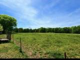 7281 Hwy 48 - Photo 37