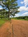 7281 Hwy 48 - Photo 38