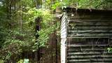 0 Wagnon Mountain Rd - Photo 13