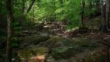 0 Wagnon Mountain Rd - Photo 21
