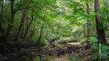 0 Wagnon Mountain Rd - Photo 8