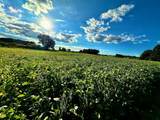 0 Gargis Ln - Photo 20