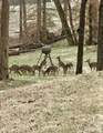 668 Lingerlost Rd - Photo 75