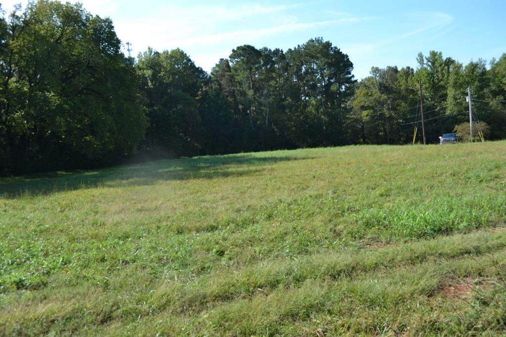 213 Bluff Ct - Photo 1