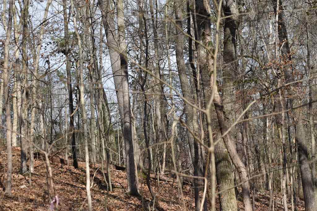 0 Glenwood Ct - Photo 1