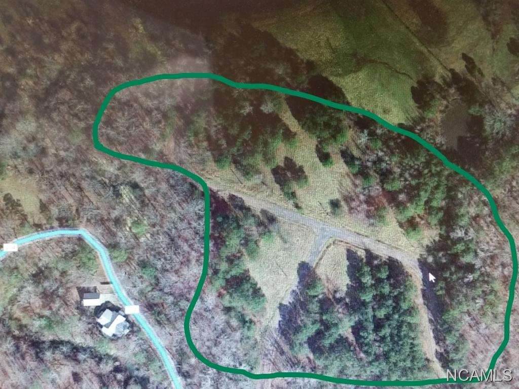 0 Co Rd 204 - Photo 1