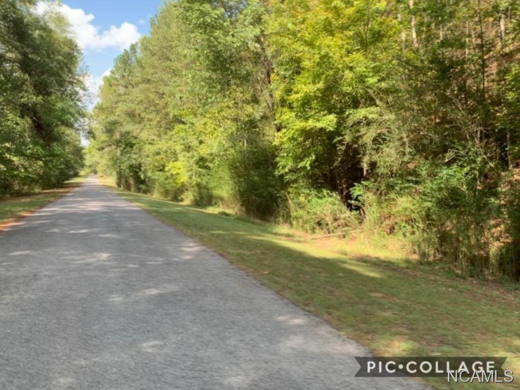 558 Co Rd 53 - Photo 1