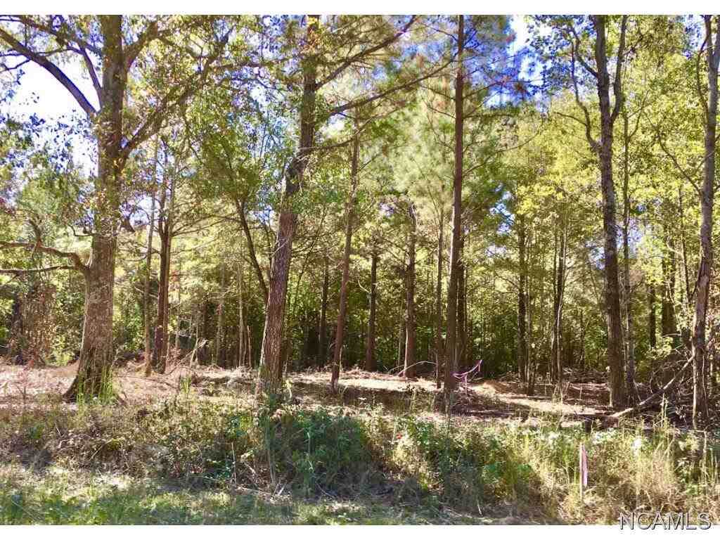 4311 Co Rd 1669 - Photo 1