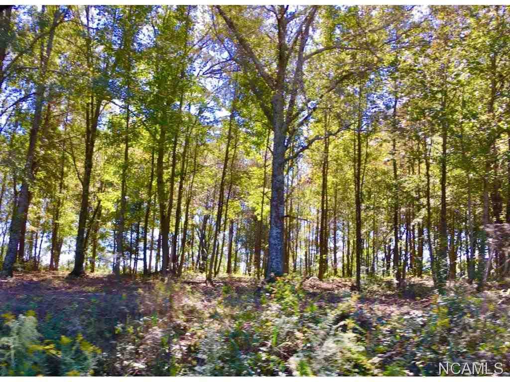 4271 Co Rd 1669 - Photo 1