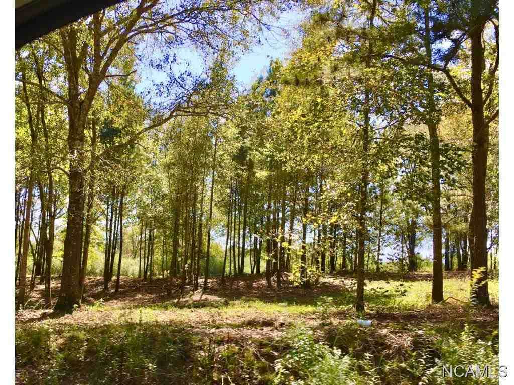 4231 Co Rd 1669 - Photo 1