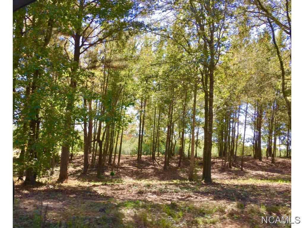 4211 Co Rd 1669 - Photo 1