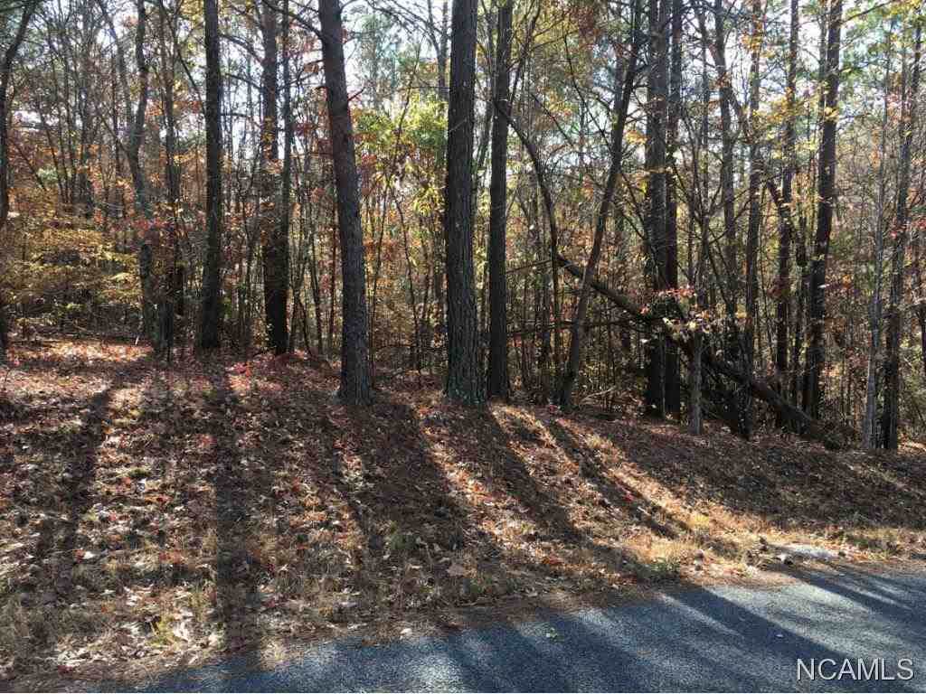 13 Co Rd 218 - Photo 1