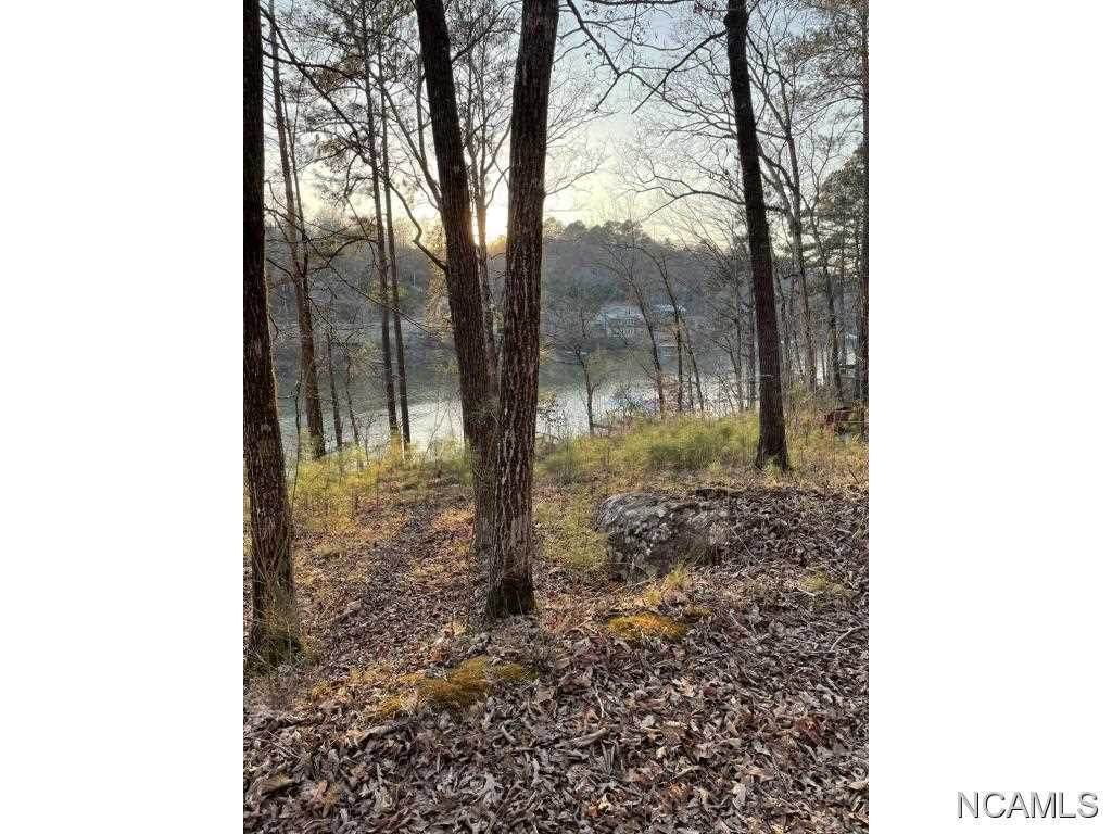 LOT 12 6714 CO RD 40 - Photo 1