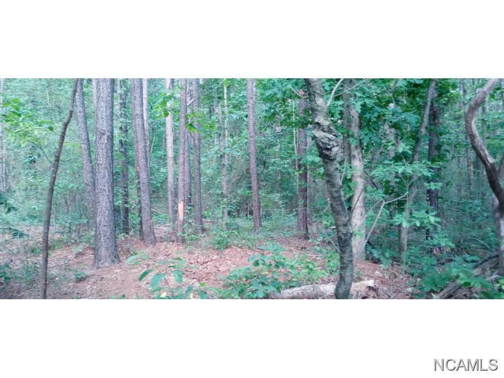 0 Co Rd 1674 - Photo 1
