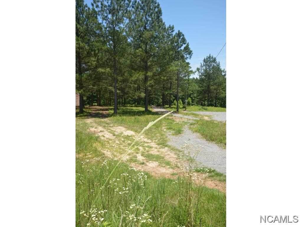 230 Co Rd 373 - Photo 1