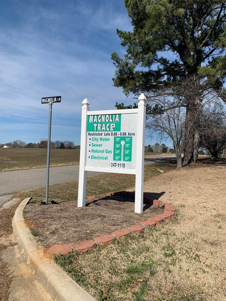 Lot 1 Magnolia Ln - Photo 1