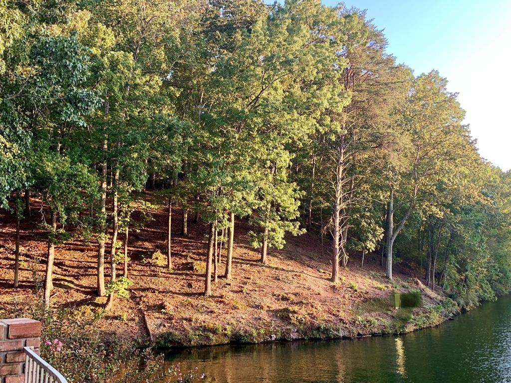 Lot 4 Randmar Ct - Photo 1