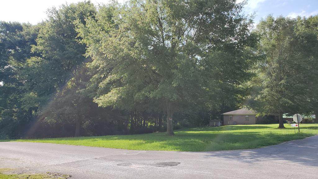 000 Meadow Dr - Photo 1
