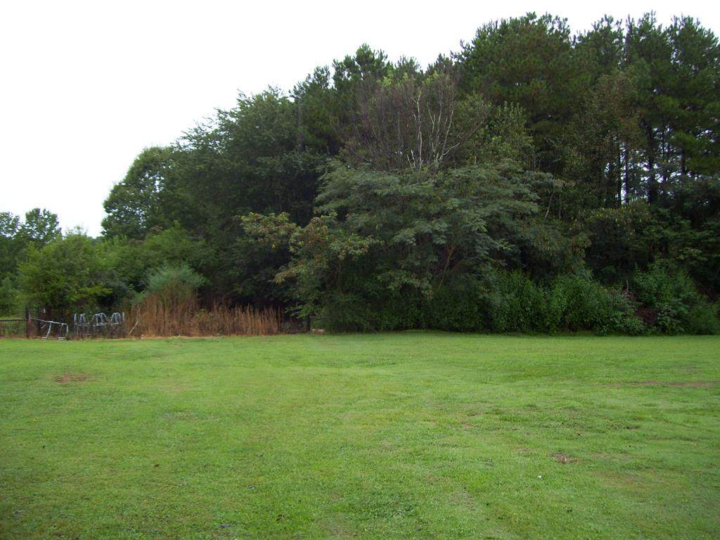3231 Hwy 101 - Photo 1