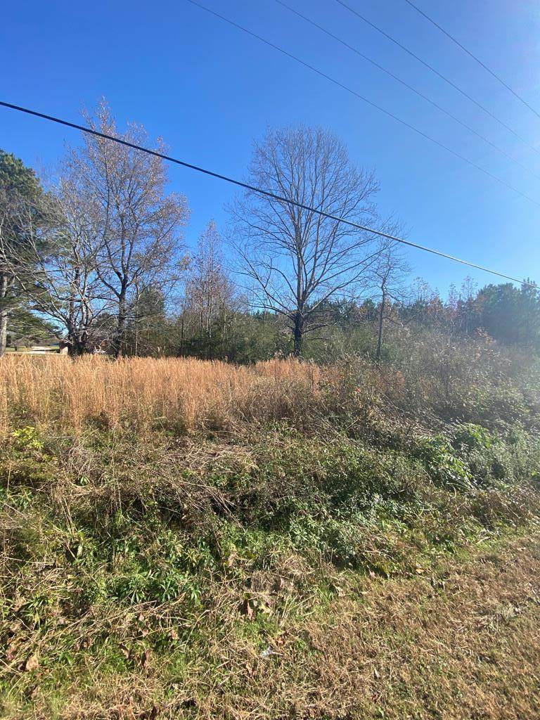 3891 Hwy 43 - Photo 1