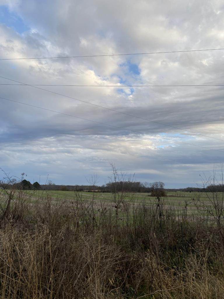 0 Cr 363 - Photo 1