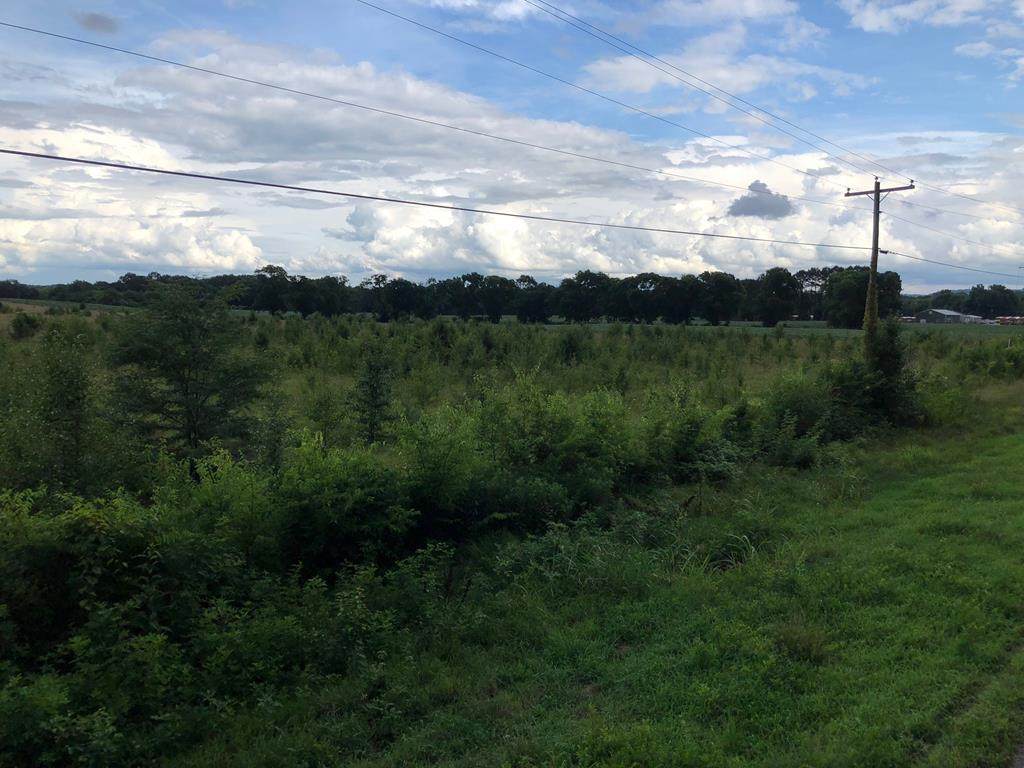 0 Howell Heflin Ln - Photo 1