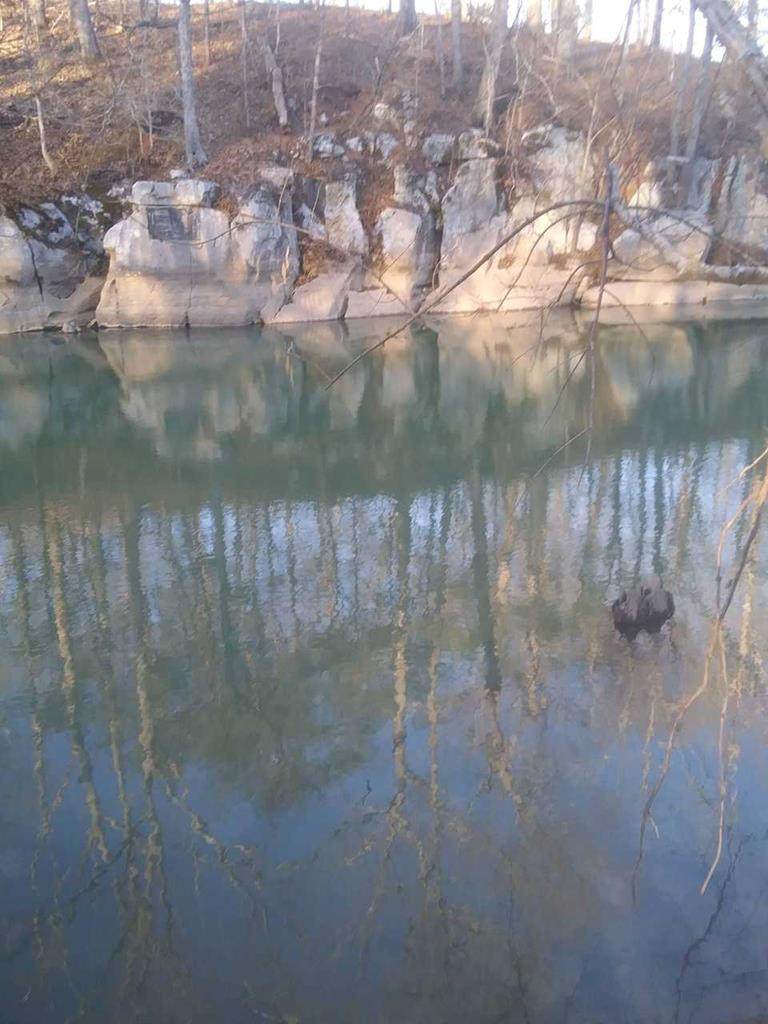 00 Emmette Holland Rd - Photo 1