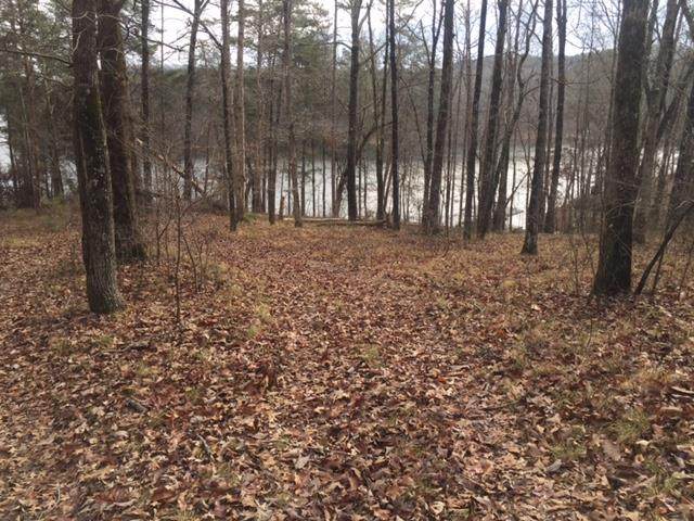 Lot 2 Kelly Rd - Photo 1