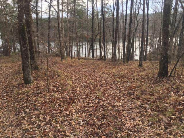 Lot 3 Kelly Rd - Photo 1