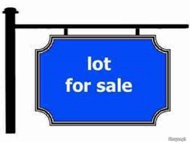 125 Harmony Dr - Photo 1