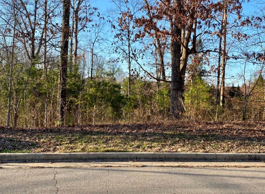 0 Stoney Creek Dr - Photo 1