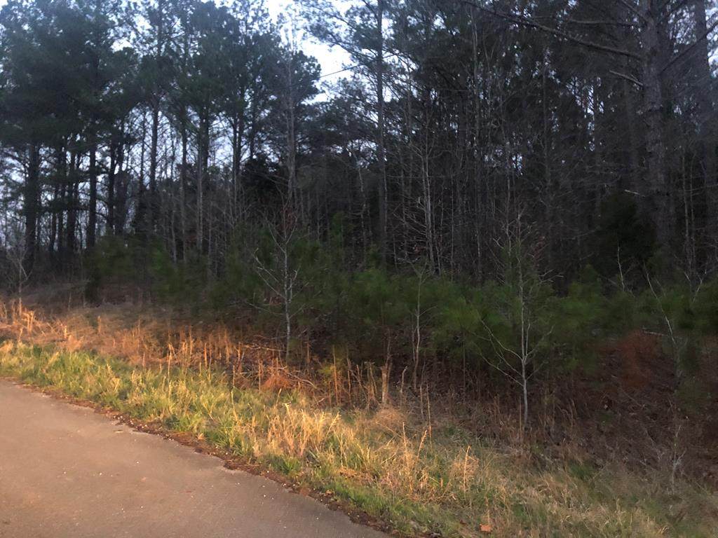 00 Lake Front Dr - Photo 1
