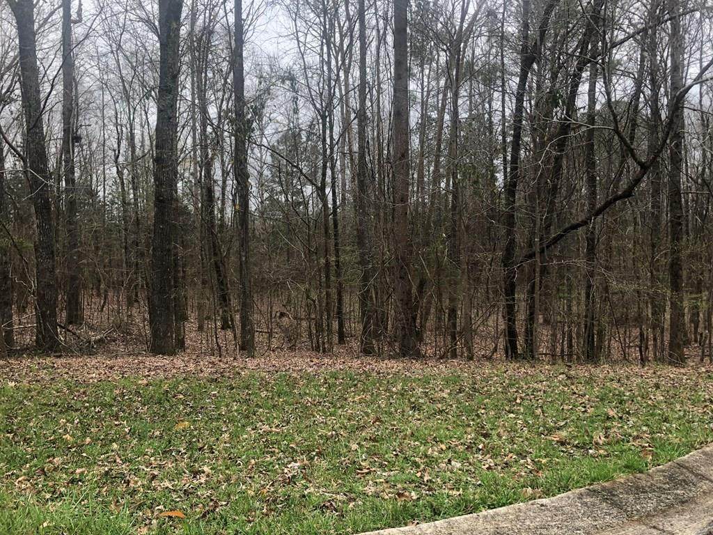 00 Lake Front Dr - Photo 1
