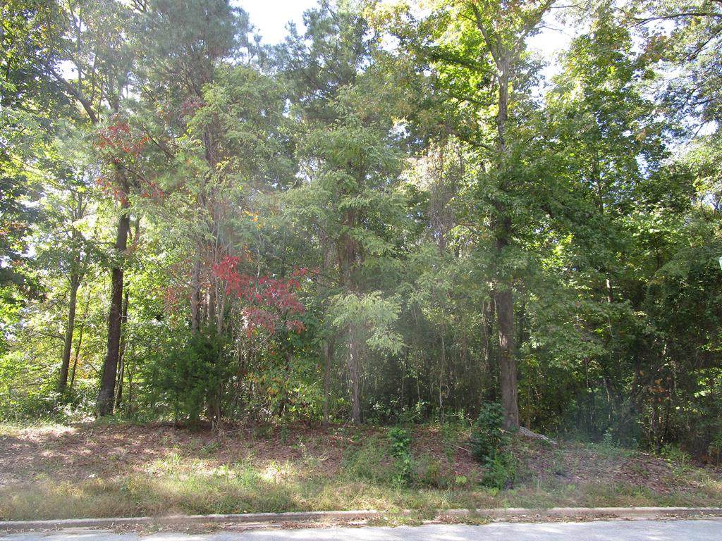 Lot #15 Oak Shadow Dr - Photo 1