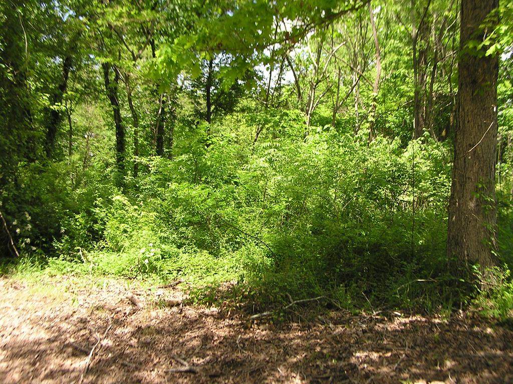 15 Ricky Dr - Photo 1