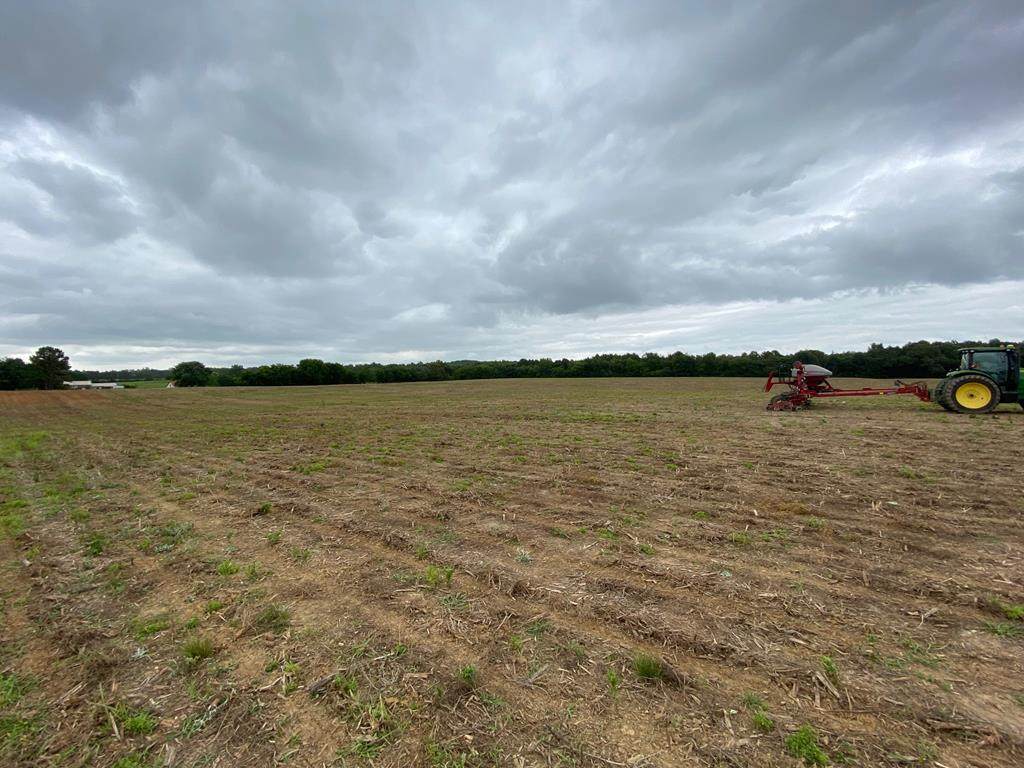 0 Co Rd 89 - Photo 1